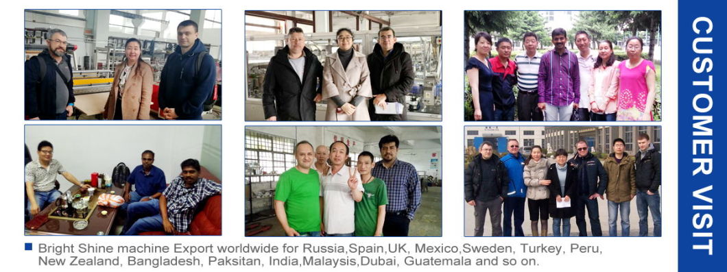 China Café en polvo / Harina de trigo / Condimento / Bebida sólida / Fabricante de máquinas de llenado de barrena