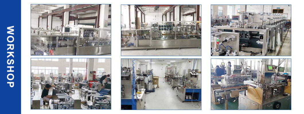 China Café en polvo / Harina de trigo / Condimento / Bebida sólida / Fabricante de máquinas de llenado de barrena