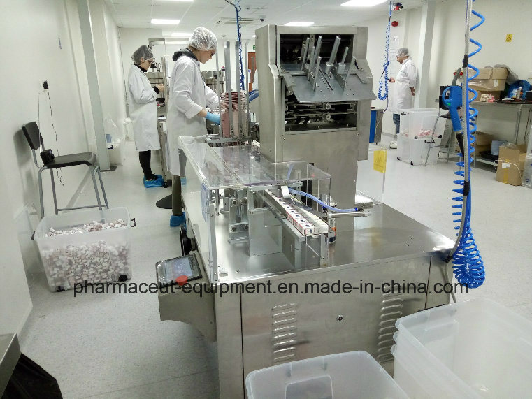 Smz -125 Empaquetadora del sellador del cartón de la caja de la botella para los estándares de GMP