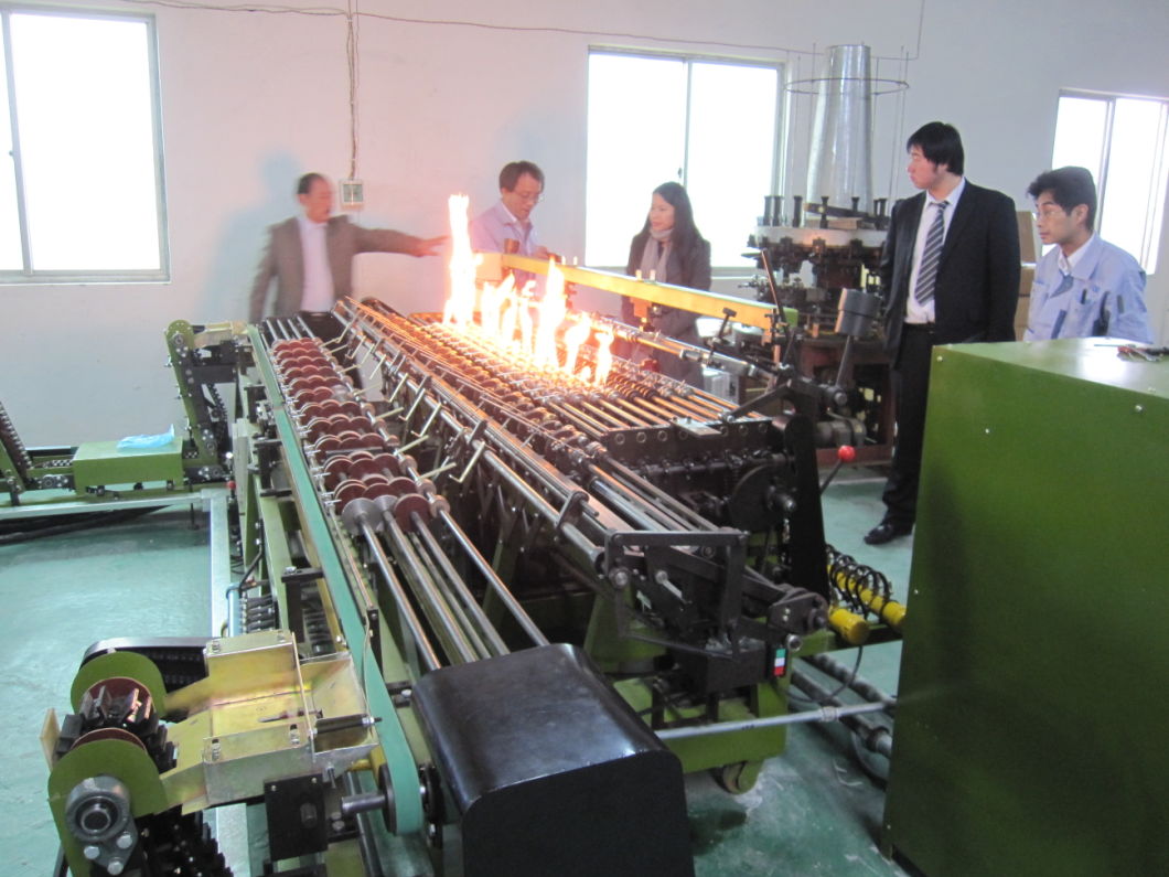 Línea de producción farmacéutica de la máquina que forma la ampolla horizontal de la máquina