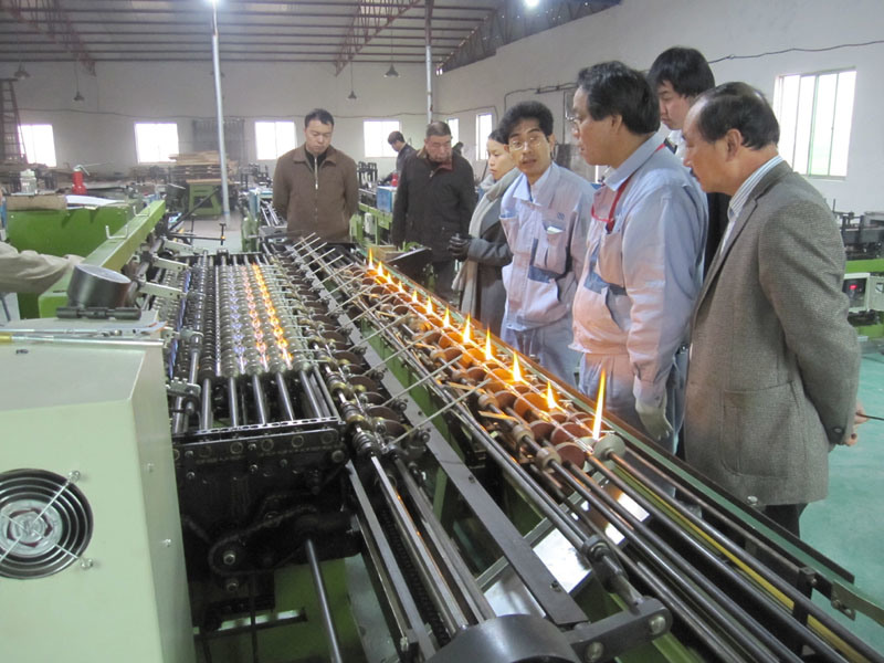 Máquina formadora farmacéutica de ampolla horizontal Línea de producción de la máquina