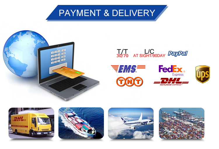 Desinfectante de ampolla de pl&aacute;stico completamente autom&aacute;tico que forma la m&aacute;quina de envasado de sellado de llenado