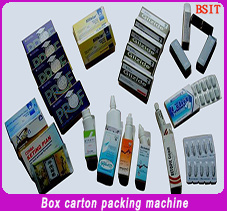 PLC Control Horizontal Automatic Bottle Cartoning Packing Machine (BSM125)